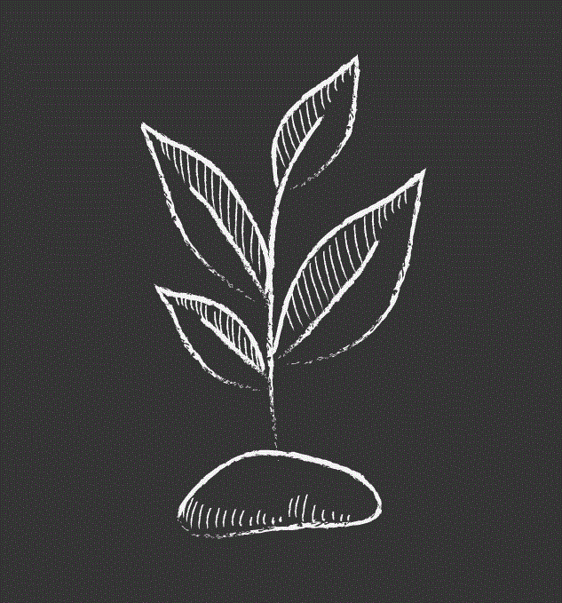 PLANT.gif